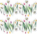 Bright beautiful lovely vertical spring pattern of colorful tulips and gentle daffodils watercolor Royalty Free Stock Photo