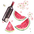 Bright beautiful lovely wonderful cute delicious tasty yummy summer picnic set includes bottle of red wine, slices of watermelon,