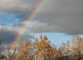 Bright, Beautiful Rainbow over the Trees Royalty Free Stock Photo