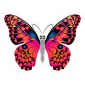 Bright beautiful red butterfly. Vector illustration isolated.