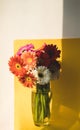 Bright beautiful red and yellow flowers bouquet of gerberas stand in glass vase on yellow background. Floral still life Royalty Free Stock Photo