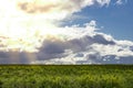 Bright beautiful sky with clouds and sunspots of light over a beautiful green field, summer landscape Royalty Free Stock Photo