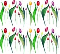 Bright beautiful spring vertical pattern of tulips red yellow pink purple lavender flowers watercolor