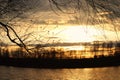 Bright beautiful sunset with clouds in gray and gold colors on the river with silhouettes of trees and branshes. Royalty Free Stock Photo