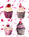 Bright beautiful tender delicious tasty chocolate yummy summer dessert four cupcakes with red cherry strawberry and raspberry on r