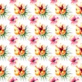 Bright beautiful tender sophisticated lovely tropical hawaii floral summer pattern of a tropic light pink and yellow hibiscus and Royalty Free Stock Photo