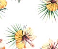 Bright beautiful tender sophisticated lovely tropical hawaii floral summer pattern of a tropic light pink and yellow hibiscus Royalty Free Stock Photo