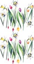 Bright beautiful vertical spring pattern of colorful tulips and gentle daffodils watercolor