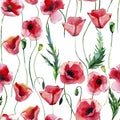 Bright beautiful wonderful summer autumn herbal floral red poppies flowers with green leaves pattern watercolor