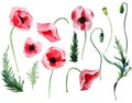 Bright beautiful wonderful summer autumn herbal floral red poppies flowers with green leaves seamless elements