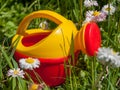 Bright beautiful yellow children`s watering can for watering flowers, a toy watering can on a green background on a sunny summer Royalty Free Stock Photo