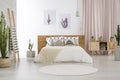 Bright bedroom with cactus motif Royalty Free Stock Photo