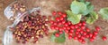 Bright berries of fresh and dried hawthorn on a wooden background. Alternative traditional medicine using hawthorn.