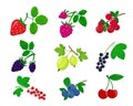 Bright berries with leaves icons collection. Royalty Free Stock Photo