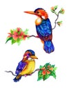 Bright birds on branches with flowers ink hand drawn illustration.