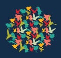 Bright birds color silhouettes round in squear on dark blue Royalty Free Stock Photo