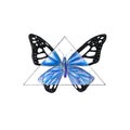 Bright black and blue butterfly. Hand-drawn. A watercolor drawing. Close up. Isolated on white background Royalty Free Stock Photo