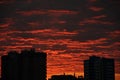 a bright bloody sunset with the roofs of multi-storey buildings on its background.