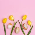 Bright blooming flowers and decorative easter eggs from gemstone onyx. Pattern from yellow tulips and stone eggs Royalty Free Stock Photo
