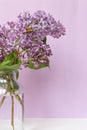 Bright blooms of spring lilacs on a table in house. Spring purple flowers close-up. Selected focus