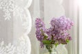Bright blooms of spring lilacs on the window in house. Spring purple flowers close-up on the blurred background. Selected focus