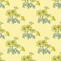 Bright blossom drawing botanical dandelion pattern, floral wallpaper. Cute flowers seamless background. Vector illustration