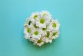 Bright blue background with chamomile. Minimalism concept. Floral backdrop. Top view