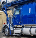 Bright blue big rig car hauler semi truck transporting cars driving on the road