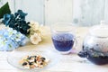 Bright blue color butterfly pea flower herb tea in a glass teapot and a cup Royalty Free Stock Photo