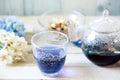 Bright blue color butterfly pea flower herb tea in a glass teapot and a cup Royalty Free Stock Photo