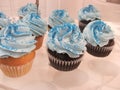 Bright Blue Cupcakes