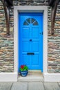 Blue Door and Potted Plant