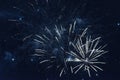 Bright blue fireworks against the dark sky Royalty Free Stock Photo