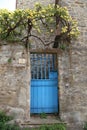 Bright blue gate on a rustic stone wall, with a cascading bright yellow rose vine