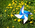 Bright blue home-made paper toy weather vane in the garden among the grass