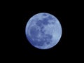 Bright Blue Moon Isolated on a Natural Black Night Sky