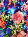 A bright blue-pink bouquet with a solid background. Pink carnations and blue irises.