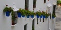 Bright blue plant-pots with Geraniums on white-washed houses, Spain Royalty Free Stock Photo