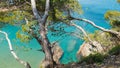 Bright blue quiet water beach landscape with green trees in a nature landscape