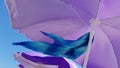 Bright blue silk scarf is waving on wind with shiny violet beach umbrellas Royalty Free Stock Photo