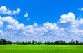 Bright blue sky and cloud with meadow tree and green rice fields Royalty Free Stock Photo