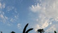 A bright blue sky with clouds floating above the trees Royalty Free Stock Photo