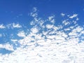 Bright blue sky covered by dense altocumulus clouds pattern background. Royalty Free Stock Photo