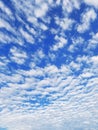 Blue Sky with Altocumulus Cloud Pattern Royalty Free Stock Photo