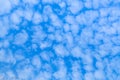 Bright Blue Sky Full of Fluffy White Clouds -- Background Royalty Free Stock Photo