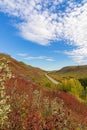 Road Through An Autumn Valley Park