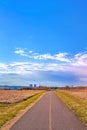 Bright Blue Sky Over A Park Pathway