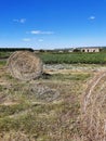 Bright blue sky, vegetables field, farm buildings and hay bales