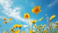 Bright blue sky, yellow daisies, nature tranquil meadow generated