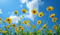 Bright blue sky, yellow daisies, nature tranquil meadow generated